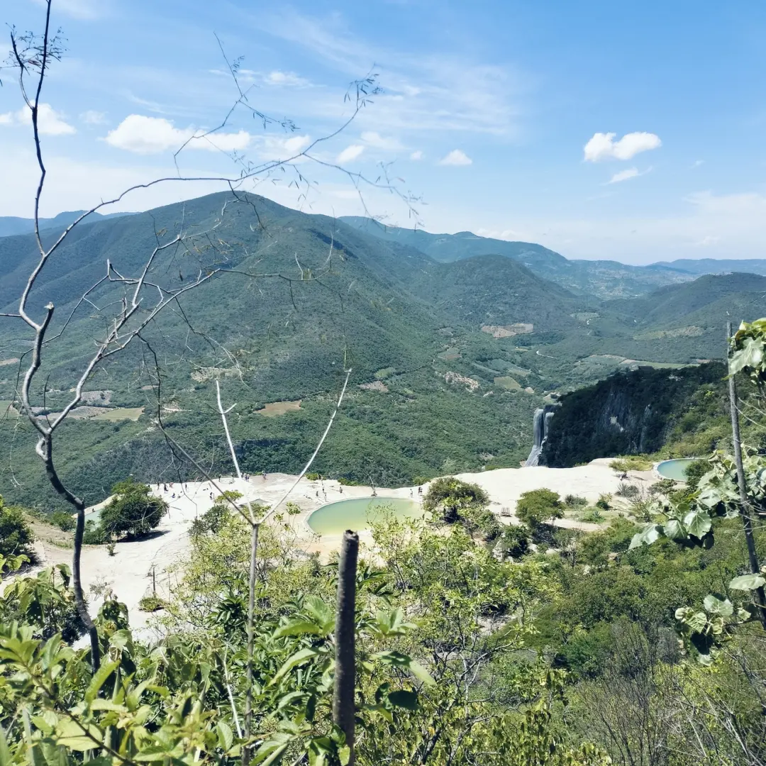 NATURALEZA