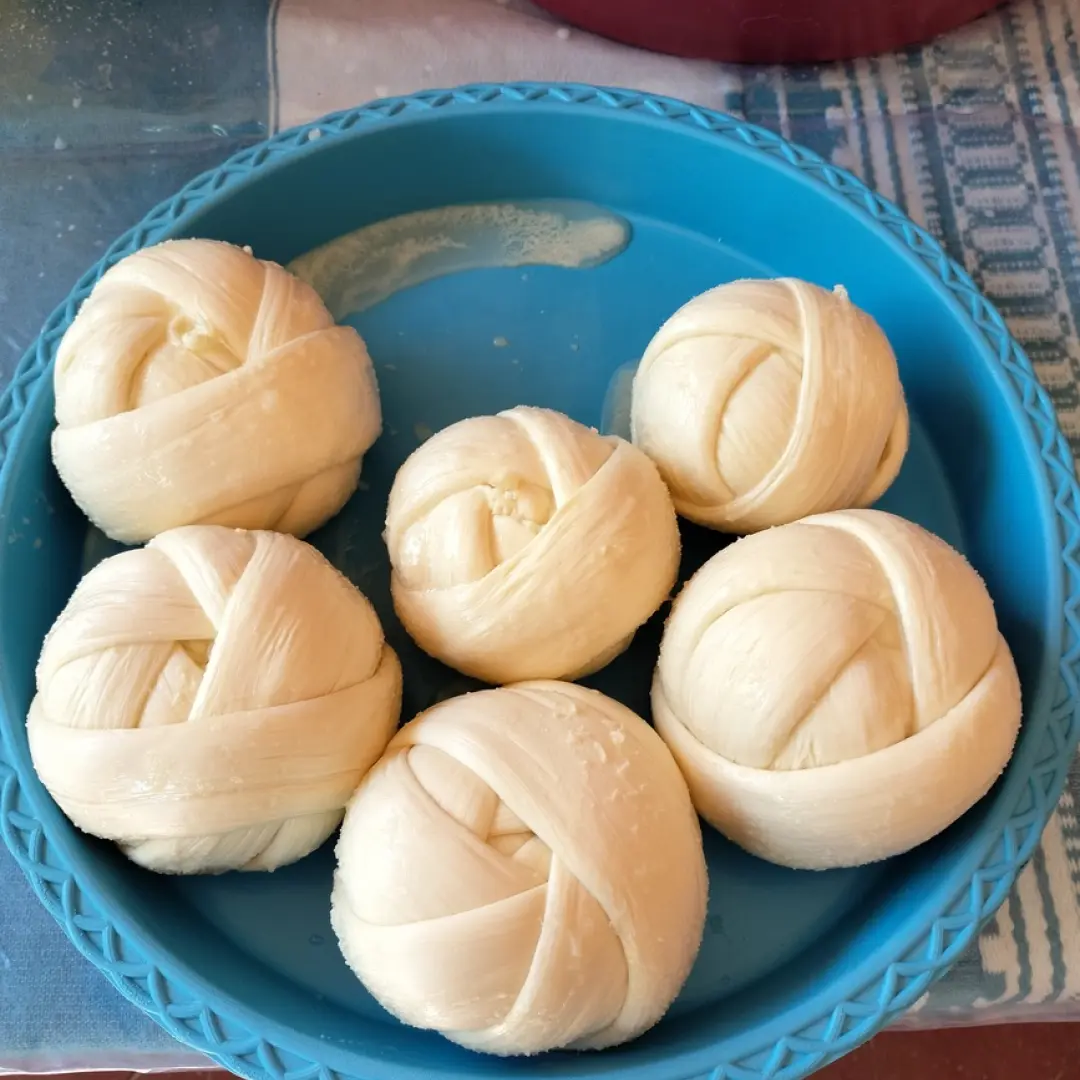 ELABORACION DEL QUESILLO