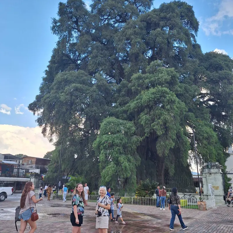 photo2. RUTA HIERVE EL AGUA